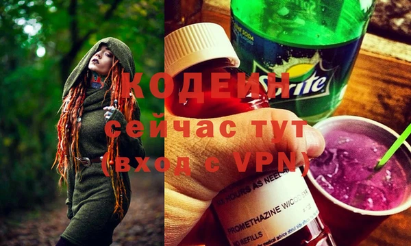 индика Беломорск