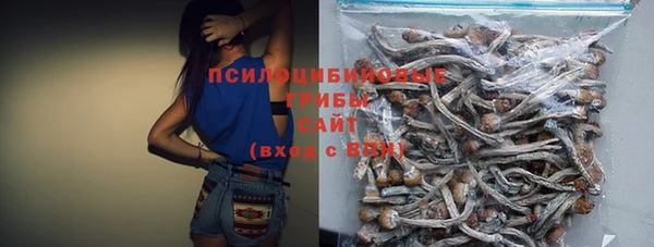 индика Беломорск