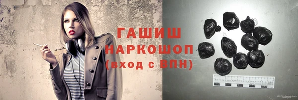 индика Беломорск