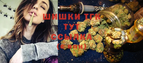 индика Беломорск