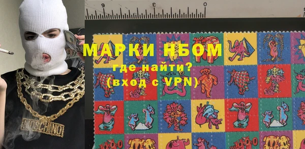 индика Беломорск