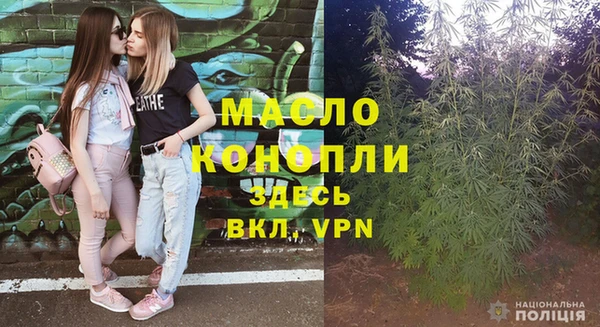 индика Беломорск