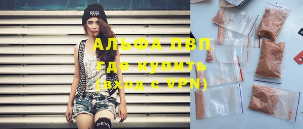 индика Беломорск