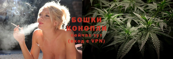индика Беломорск
